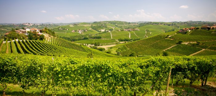 Italie_Langhe_2010